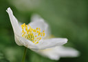 BUITEN BEELD Foto: 120476