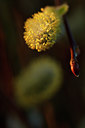 BUITEN BEELD Foto: 120502