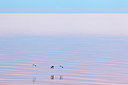 BUITEN BEELD Foto: 120506