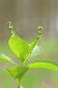 BUITEN BEELD Foto: 120521