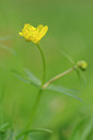 BUITEN BEELD Foto: 120523