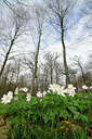 BUITEN BEELD Foto: 120547