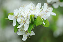 BUITEN BEELD Foto: 120565