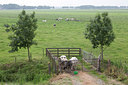 BUITEN BEELD Foto: 120745