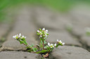 BUITEN BEELD Foto: 120837