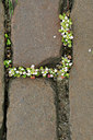 BUITEN BEELD Foto: 120839