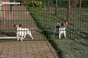 BUITEN BEELD Foto: 120874