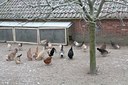 BUITEN BEELD Foto: 120878