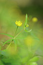 BUITEN BEELD Foto: 120939