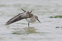 BUITEN BEELD Foto: 121050