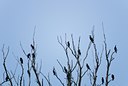 BUITEN BEELD Foto: 121093