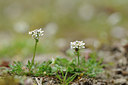 BUITEN BEELD Foto: 121110