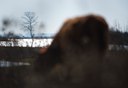 BUITEN BEELD Foto: 121121