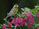 BUITEN BEELD Foto: 121203