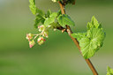 BUITEN BEELD Foto: 121262