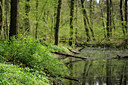 BUITEN BEELD Foto: 121304