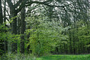 BUITEN BEELD Foto: 121332