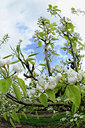BUITEN BEELD Foto: 121489