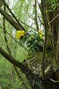 BUITEN BEELD Foto: 121530