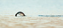BUITEN BEELD Foto: 121543