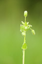 BUITEN BEELD Foto: 121558
