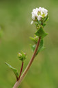 BUITEN BEELD Foto: 121559