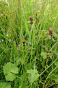 BUITEN BEELD Foto: 121581