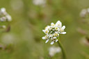 BUITEN BEELD Foto: 121584