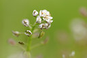 BUITEN BEELD Foto: 121585