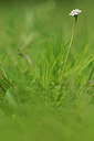 BUITEN BEELD Foto: 121635