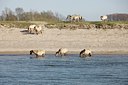 BUITEN BEELD Foto: 121696