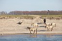 BUITEN BEELD Foto: 121715