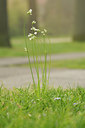 BUITEN BEELD Foto: 121814