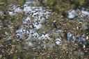 BUITEN BEELD Foto: 122046