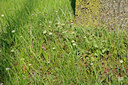 BUITEN BEELD Foto: 122096