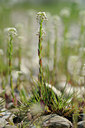 BUITEN BEELD Foto: 122190