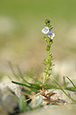 BUITEN BEELD Foto: 122205