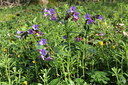 BUITEN BEELD Foto: 122208