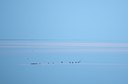 BUITEN BEELD Foto: 122222