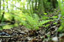 BUITEN BEELD Foto: 122397