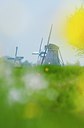 BUITEN BEELD Foto: 122417