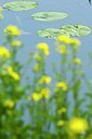 BUITEN BEELD Foto: 122565