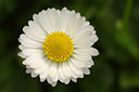 BUITEN BEELD Foto: 122732