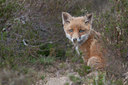 BUITEN BEELD Foto: 122935