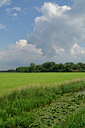 BUITEN BEELD Foto: 123153