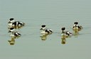 BUITEN BEELD Foto: 123469