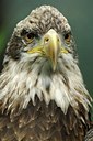 BUITEN BEELD Foto: 123749