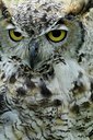 BUITEN BEELD Foto: 123772