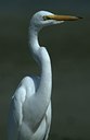 BUITEN BEELD Foto: 123865