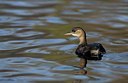 BUITEN BEELD Foto: 123867